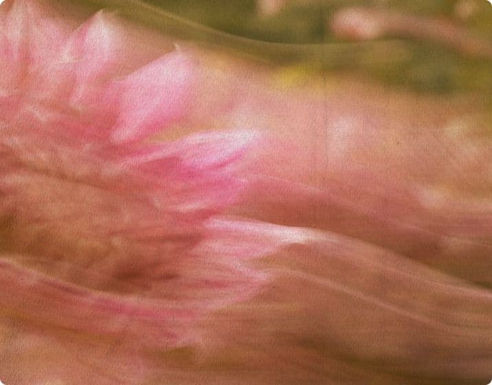 Grove plans $100M anchor into newly-launched Securitize Tokenized AAA CLO Fund (STAC), with services provided by BNY