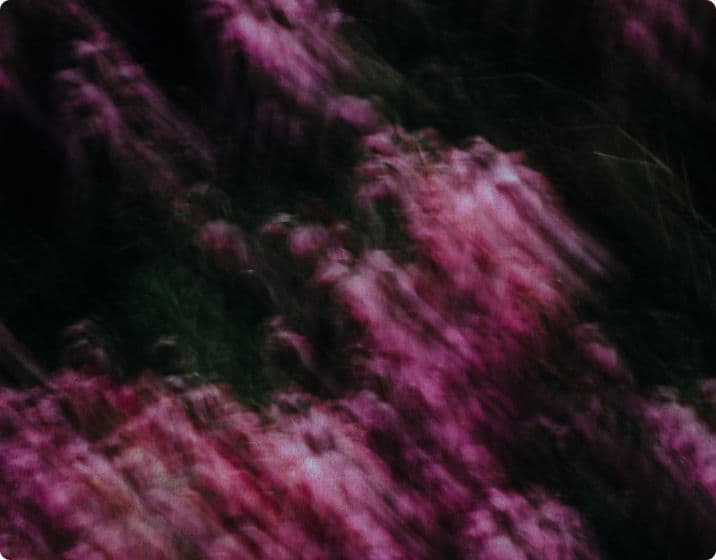 Grove integrates with Aave Horizon to supply RLUSD and USDC liquidity