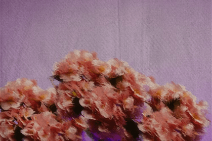 Inside Grove's Onchain Allocation Framework