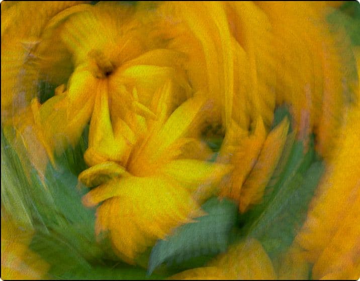 Grove Labs Adds the Level Team to Accelerate the Future of Onchain Yield