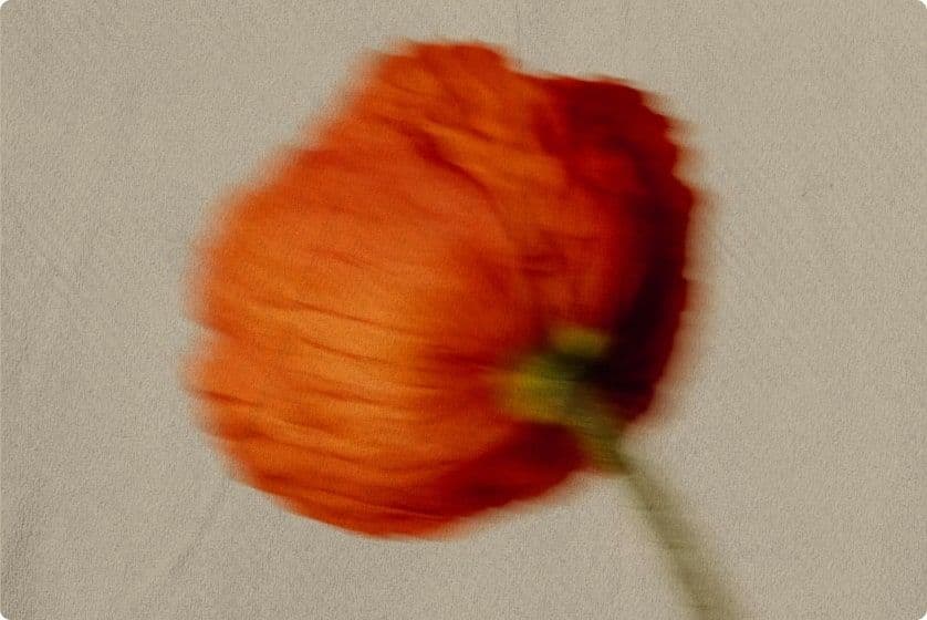 Introducing Grove: The Sky Ecosystem’s Institutional Grade Credit Protocol