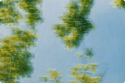 Grove Launches on Avalanche with $250 Million Deployment Target